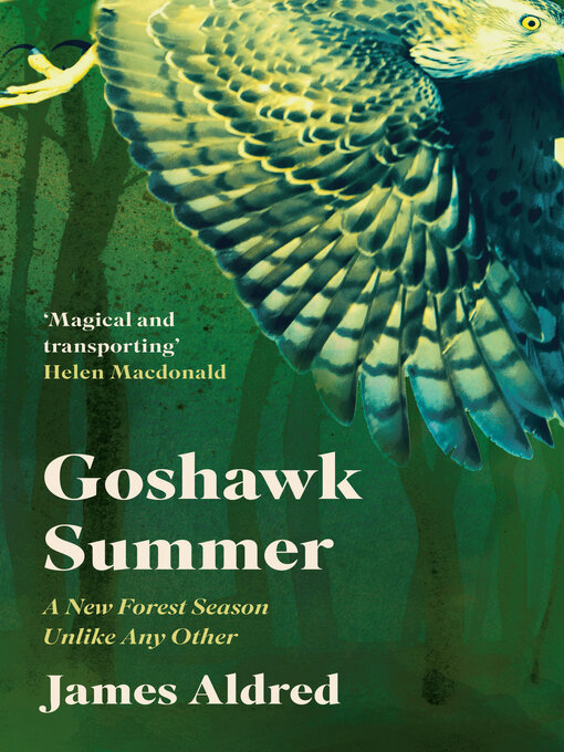 Title details for Goshawk Summer by James Aldred - Available